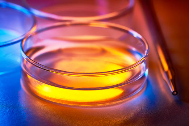 Petri dishes with colorful contents