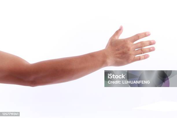 Man Arm On White Background Stock Photo - Download Image Now - Arm, Hand, Men