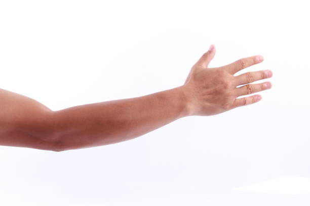 рука человека на белом фоне - human arm стоковые фото и изображения