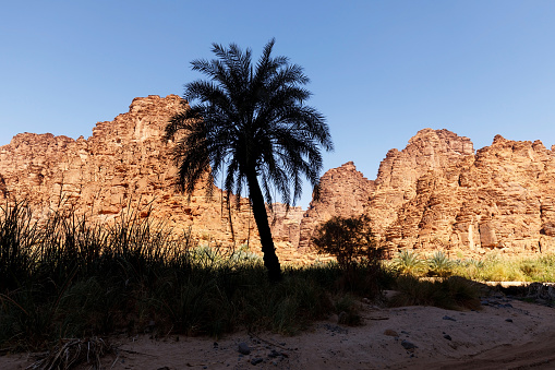 Wadi Disah, also known as Wadi Qaraqir, is a 15 kilometer long canyon running through the Jebel Qaraqir, a sandstone massif lying about 80 kilometers south of the city of Tabuk in Saudi Arabia