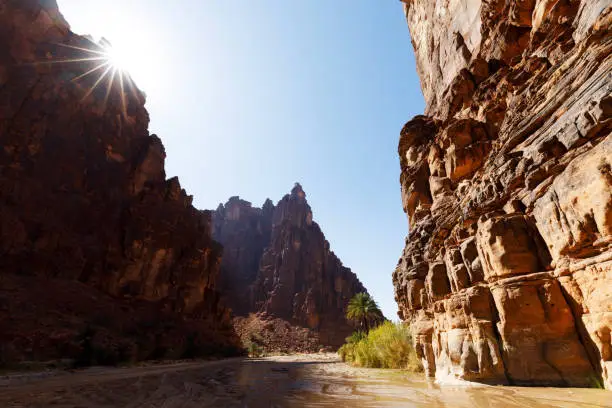 Photo of Wadi Disah, also known as Wadi Qaraqir, is a 15 kilometer long canyon running through the Jebel Qaraqir, a sandstone massif lying about 80 kilometers south of the city of Tabuk in Saudi Arabia