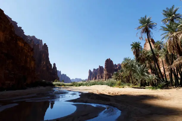 Wadi Disah, also known as Wadi Qaraqir, is a 15 kilometer long canyon running through the Jebel Qaraqir, a sandstone massif lying about 80 kilometers south of the city of Tabuk in Saudi Arabia