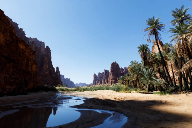 wadi disah, also known as wadi qaraqir, is a 15 kilometer long canyon running through the jebel qaraqir, a sandstone massif lying about 80 kilometers south of the city of tabuk in saudi arabia - leito de rio imagens e fotografias de stock