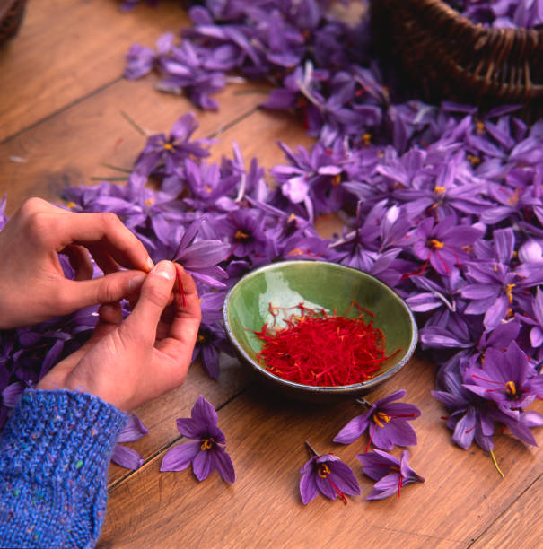 Saffron Flower of saffron on a table saffron plant stock pictures, royalty-free photos & images