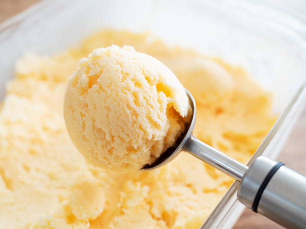 istock Vanilla ice cream with ice cream scoop 1257724848