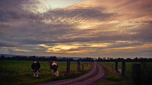 istock Sunset over Slieve Bloom Mountains 1257725534