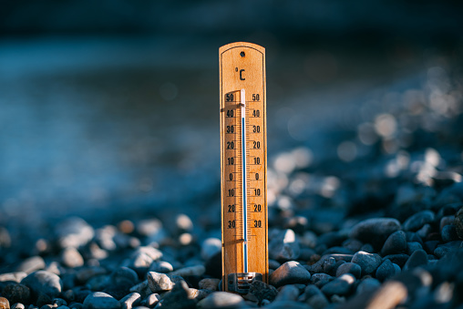 Wood Thermometer Measuring the Heat