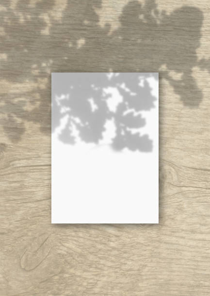 istock The vertical sheet of white textured A4 paper on the wooden table background. Mockup overlay with the plant shadows. Natural light casts shadows from the oak leaves 1257728176