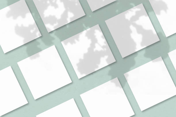 istock Several square sheets of white textured paper against a green wall background. Natural light casts shadows from the oak leaves. Flat lay, top view 1257728214