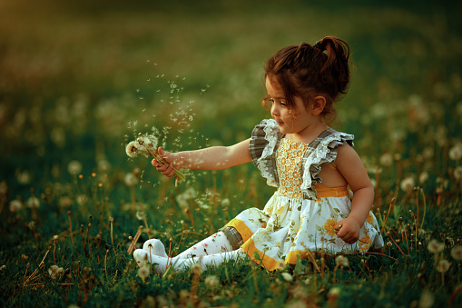 Baby girl in Romania in nature, feeling like in a fairytale playing with dandelions