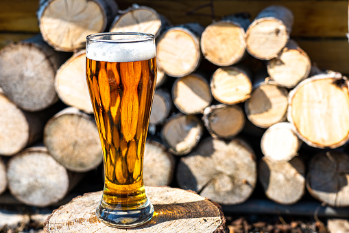 Light beer in a glass goblet on the background of firewood. Rest in the country. Beer foam in the sunlight.