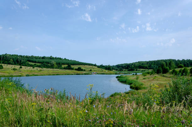 istock Lake among green grass and trees 1257732066
