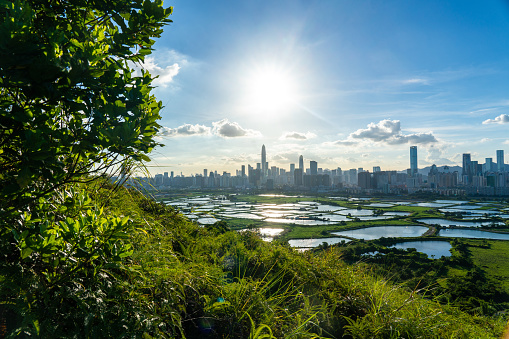 View of rural green fields with fish ponds between Hong Kong and skylines of Shenzhen,China