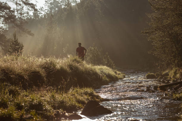 istock Morning jogging in a field 1257734223