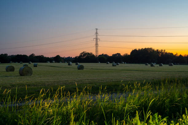 A view of a field with haystacks during nighttime stock photo