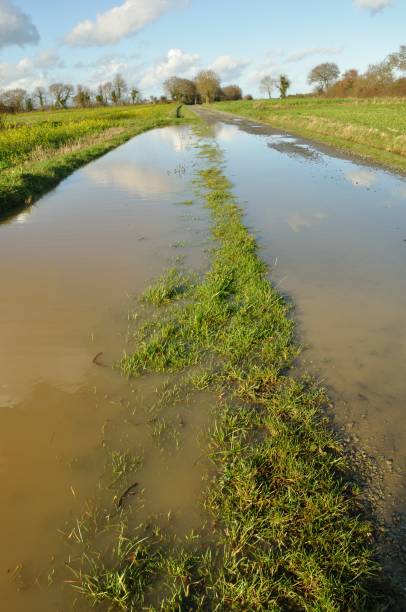 istock A flooded country lane in Brittany 1257734610