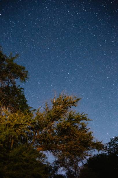 istock Night sky with nebula in Atacama desert 1257734621
