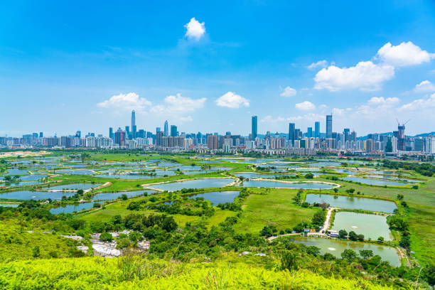 vista dos campos verdes rurais na fronteira de hong kong - shenzhen - fotografias e filmes do acervo