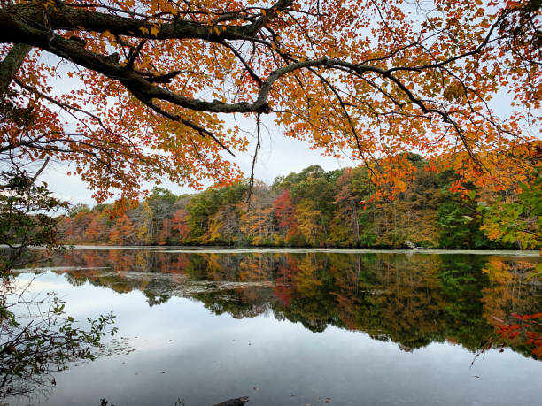 istock Autumn Foliage along a lake 1257735428