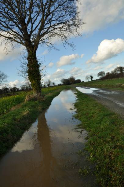 istock A flooded country lane in Brittany 1257735697