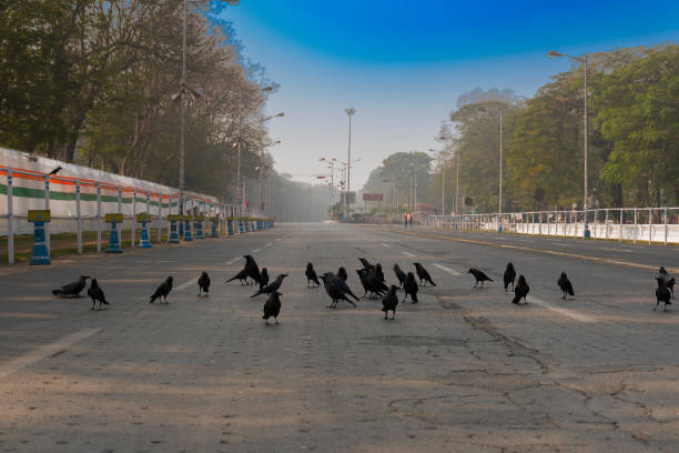 istock Red Road, Kolkata, India 1257737722