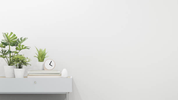 istock Plant in flower pot on desk near empty wall. 1257739629