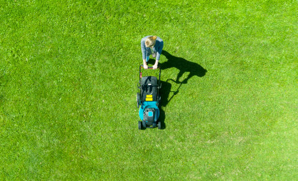 Beautiful girl cuts the lawn. Mowing lawns. Aerial view beautiful woman lawn mower on green grass. Mower grass equipment. Mowing gardener care work tool. Close up view. Aerial lawn mowing stock photo