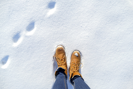 Top view of shoes and animal footprint in fresh snow.