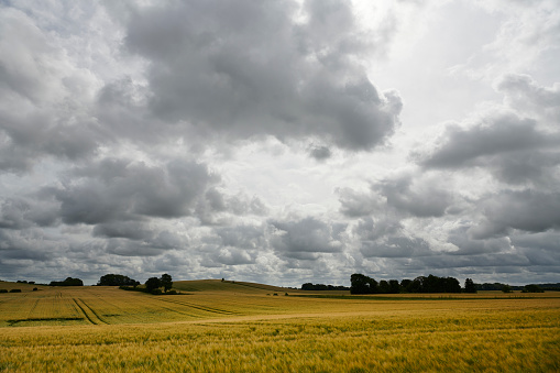 Danish landscape as it is recognized on Sydfyn - Southern part of the island Funen with rolling hills and fields