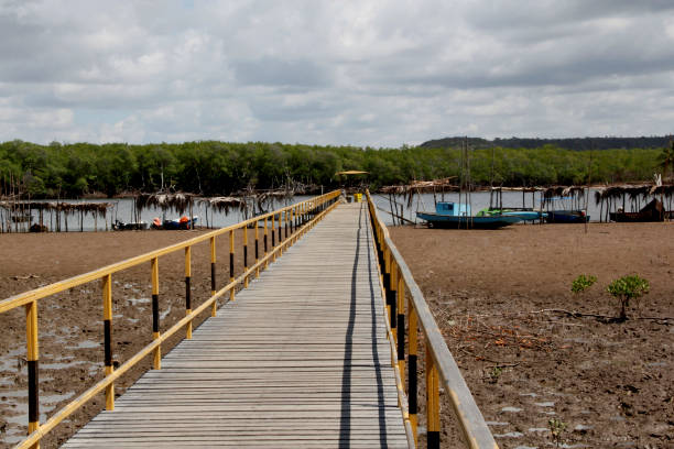 istock wooden point for the itapicuru river 1257746284