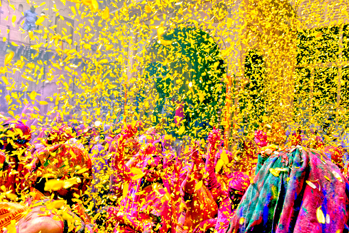 Flower holi colourful indian festival celebrated in india