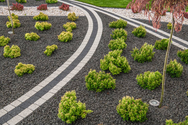 istock Newly Designed and Build Residential Backyard Garden. 1257752931