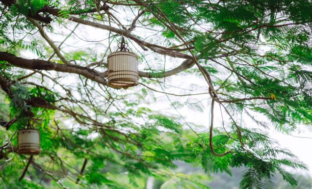istock Decorative lighting, lamp on a green tree in a leisure park. 1257754188
