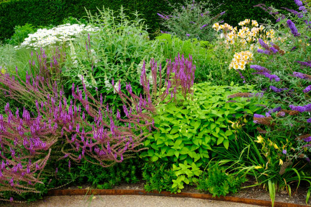 istock English Garden Flowerbed 1257757827