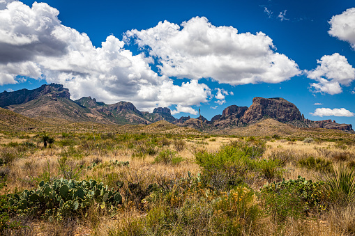 View  of Chisos Mountains from Gano Springs Road near Basin Junction Road at Big Bend National Park in Texas.