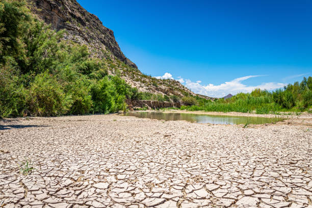 A dry river bed during a hot summer at Big Bend National Park in Texas. A dry river bed during a hot summer at Big Bend National Park in Texas. dry riverbed stock pictures, royalty-free photos & images