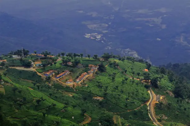 birds eye view of coonoor tea garden, coonoor is a popular tourist destination near ooty hill station, located on the foothills of nilgiri mountains in tamilnadu, india
