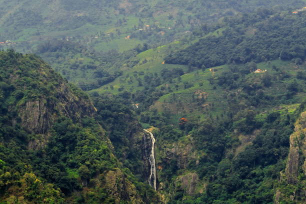 scenic view of catherine falls from dolphin's nose view point at coonoor near ooty hill station scenic view of catherine falls from dolphin's nose view point at coonoor. coonoor is located on nilgiri mountains foothills near very famous ooty hill station in tamilnadu, south india tamil nadu landscape stock pictures, royalty-free photos & images