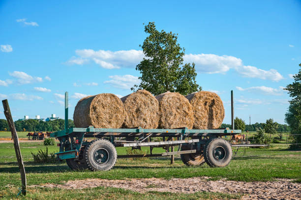 An old trailer with bales of straw standing in a meadow.