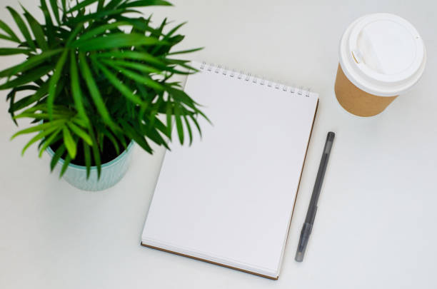 istock creative process. blank sheet of spiral notebook, coffee, home plant on a white background. 1257765580