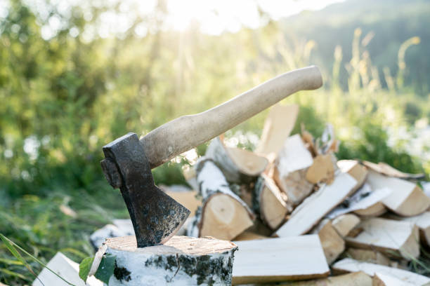an axe stuck in a log on the background of the forest close-up stock photo