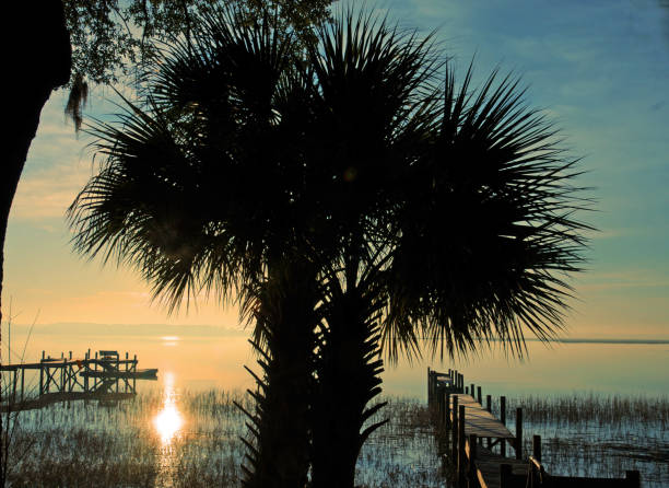 istock Saltmarsh Dock at Sunrise-Hilton Head Island SC 1257771292