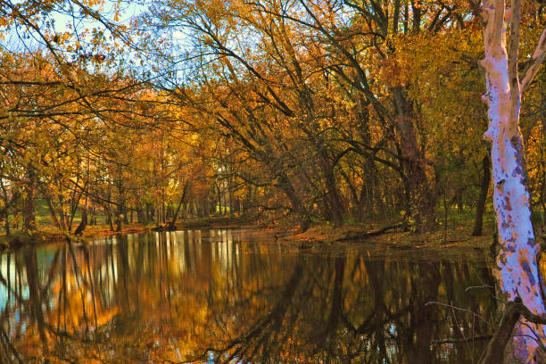 istock Fall Colors- Wildcat Creek--Howard County Indiana 1257771371