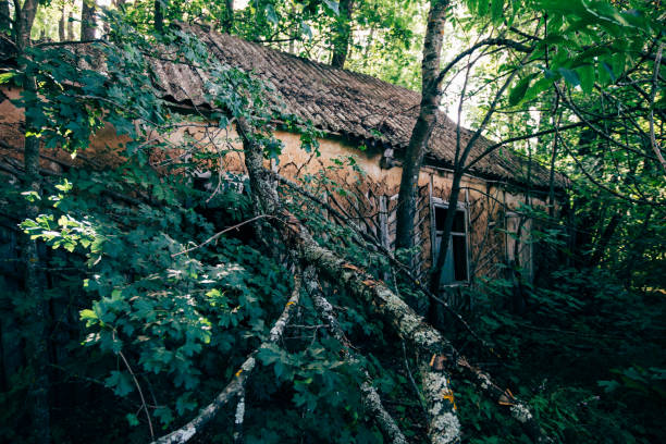 old abandoned and abandoned overgrown house in the forest