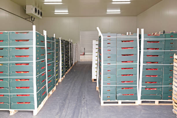 istock Pallets Crates Produce 1257776094