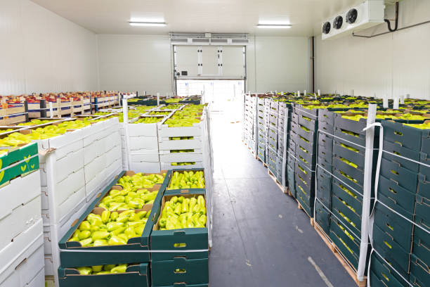 Peppers Apples Pallet Peppers and Apples in Crates Storage Warehouse cold storage stock pictures, royalty-free photos & images