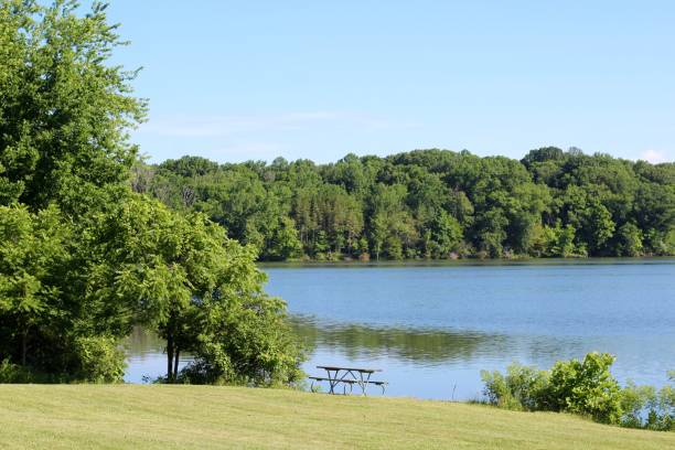 istock Green Grass Landscape at the Lake 1257781266