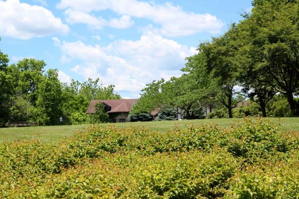 istock Green Grass Countryside 1257781860