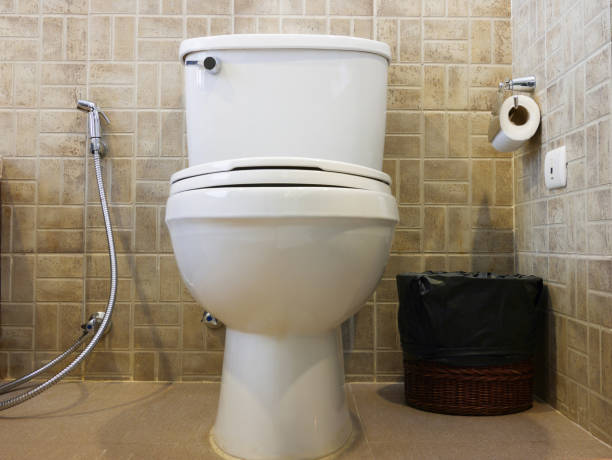 istock Toilet bowl in the bathroom 1257783953