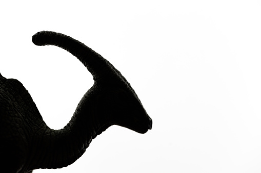 Dinosaur-Parasaurolophus silhouette